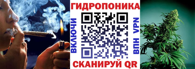 где найти Ярцево гидра tor Конопля THC 21%